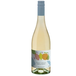 Mediterranico Pinot Grigio IGT Terre Siciliane 2022