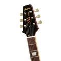 Guitarra Aria Pro Ii Pe-350std Aged Cherry Sunburst