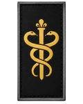 Insigna Dentista  PMESP