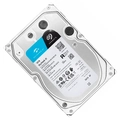 HD 10tb Seagate Skyhawk AI Surveillance Sata III 256mb 7200rpm - St10000ve001