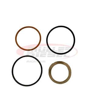 KIT REPARO UNIDADE INJETORA CUMMINS PT - MOTORES SÉRIE N / NT / NTA 855 - 891849 D-TRON