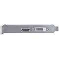 Placa de Vídeo 4GB Gt1030 Pcyes Single Fan Gddr4 - Pagt10304gbg4lp