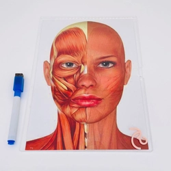 Display com foto impressa - Logo alto relevo inicial ou desenho