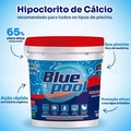 Hipoclorito De Cálcio Para Limpeza De Piscinas Bluepool 65%