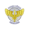 Adesivo FAB - Força Aérea Brasileira