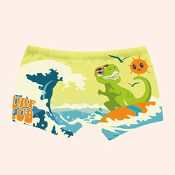 Sunga Boxer Moda Praia Fakini Masculino