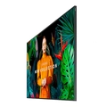 Monitor Profissional Samsung 4k 75" Qm75c - Lh75qmcebgcxen