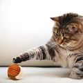 Brinquedo Bola em Sisal para Gatos