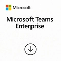 Microsoft Teams Enterprise 1 Ano Csp - Cfq7ttc0mzjf-009