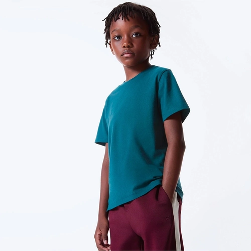 Camiseta Manga Curta Básica Slim Verde Masculina - Hering