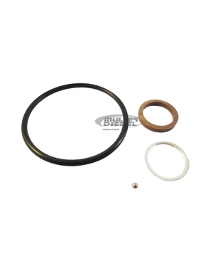 REPARO BICO COMMON RAIL LINHA 110 / 120  COM ESFERA