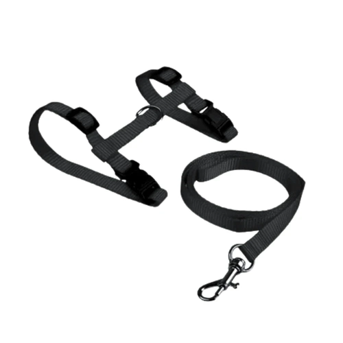 Kit Guia e Peitoral Ajustável para Gatos Preto