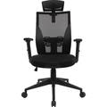 Cadeira Ergonômica Fortrek Ergo Shield Mesh Preta - 85033