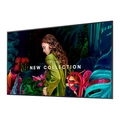 Monitor Profissional Samsung Qb75c 4k 75