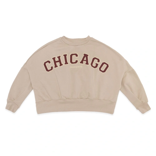 Blusão Moletom Estampado Chicago Pokotinha - Feminino