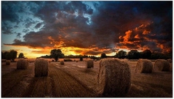 Monitor Profissional Samsung 55