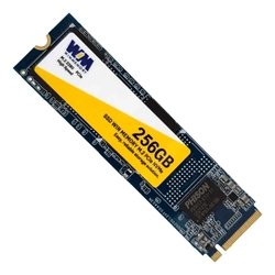 HD SSD 256GB NVME M.2 WINMEMORY - SWG256G