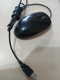 Mouse Óptico Usb Gm-04003a Xscroll Preto - Genius (U)