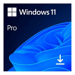 Windows 11 Pro Microsoft 64 Bit Esd Fqc-10572