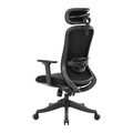 CADEIRA DT3 ATRIA COOL BLACK 14772-1 + MASSAGEADOR LOMBAR  RELAX COOL BLEACK