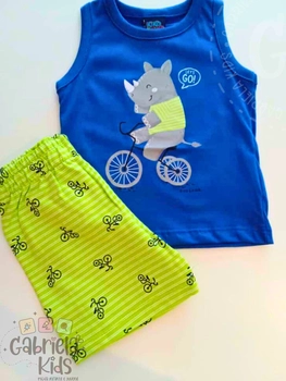 conjunto rinoceronte