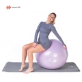 Bola de Ginástica Suíça Yoga Pilates 65cm Tecnologia Anti Estouro EssenceFit