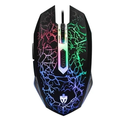 Mouse Gamer Evolut EG104 RGB LED Rayden 2400DPI
