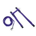 Kit Guia e Peitoral Ajustável para Gatos Roxo
