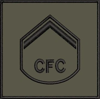 Insígnia Bordada - Baixa Visibilidade (Cursos de Formação)