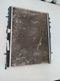 Radiador Peugeot 206,207,307 2003/2005 (ID:17113)