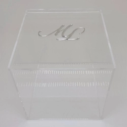 Caixa Seringas da semana - Logo alto relevo inicial ou desenho