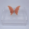 Caixa P tampa removível Borboleta