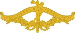 Brevê (Distintivo) de Metal CCFEx