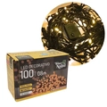 Pisca-Pisca Led Decoração De Natal 100 Luz Branca 8m 127V - WINCY NATAL