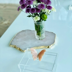 Caixa P tampa removível Borboleta