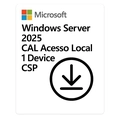 Windows Server 2025 Microsoft Cal Acesso Local 1 Dispositivo Perpétuo Csp - Dg7gmgf0pwht-005
