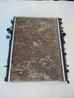 Radiador Peugeot 206,207,307 2003/2005 (ID:17113)