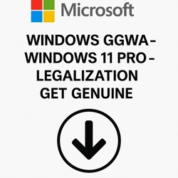 Microsoft Windows 11 Pro Ggwa Lgg Perpétuo Csp - Dg7gmgf0l4tl-003