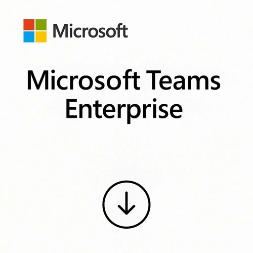 Microsoft Teams Enterprise 1 Ano Csp - Cfq7ttc0mzjf-009