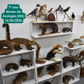 Museu Zoologia- UEL