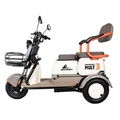 Triciclo Eletrico Mult 3 Wx-T02 Wehawk 650w Bat 60v 20ah 3 Lugares Branco/Marrom