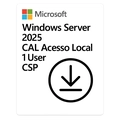 Windows Server 2025 Microsoft Cal Acesso Local 1 Usuário Perpétuo Csp - Dg7gmgf0pwht-002