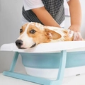 Banheira Retrátil Pet