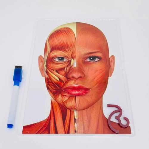 Display com foto impressa - Logo alto relevo inicial ou desenho