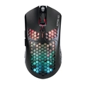 Mouse Gamer Evolut Keppni-v2 PRO RGB - Eg111