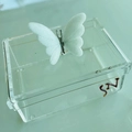 Caixa P Borboleta e logo - Logo alto relevo inicial ou desenho
