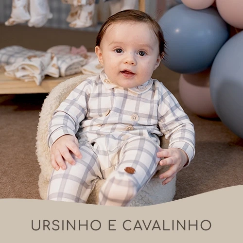Ursinho e Cavalinho