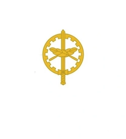 Divisa de Gola Metal Oficial QAO (Unidade)