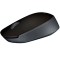 Mouse Optico S/fio Usb M170 Ambidestro Preto C/Pilha - Logitech