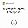 Microsoft Teams Enterprise 1 Ano Csp - Cfq7ttc0mzjf-009